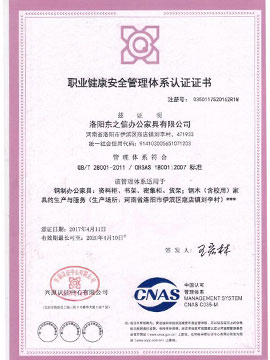 ISO18001.2007